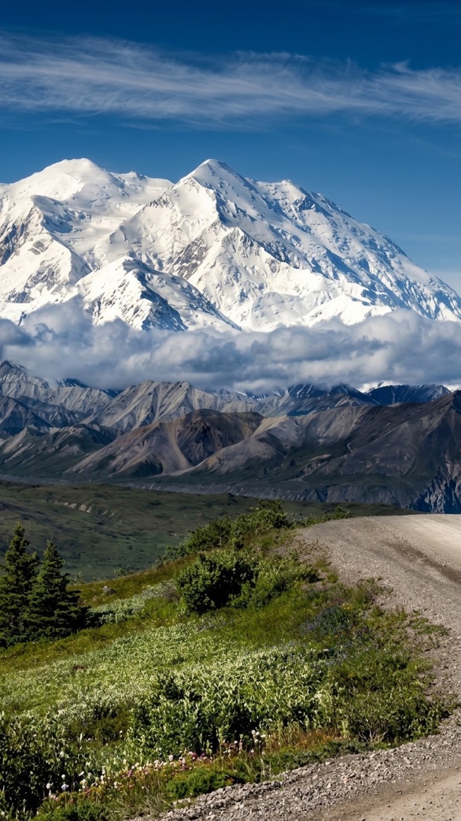 Denali National Park